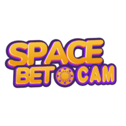 gifts for sudoku lovers
